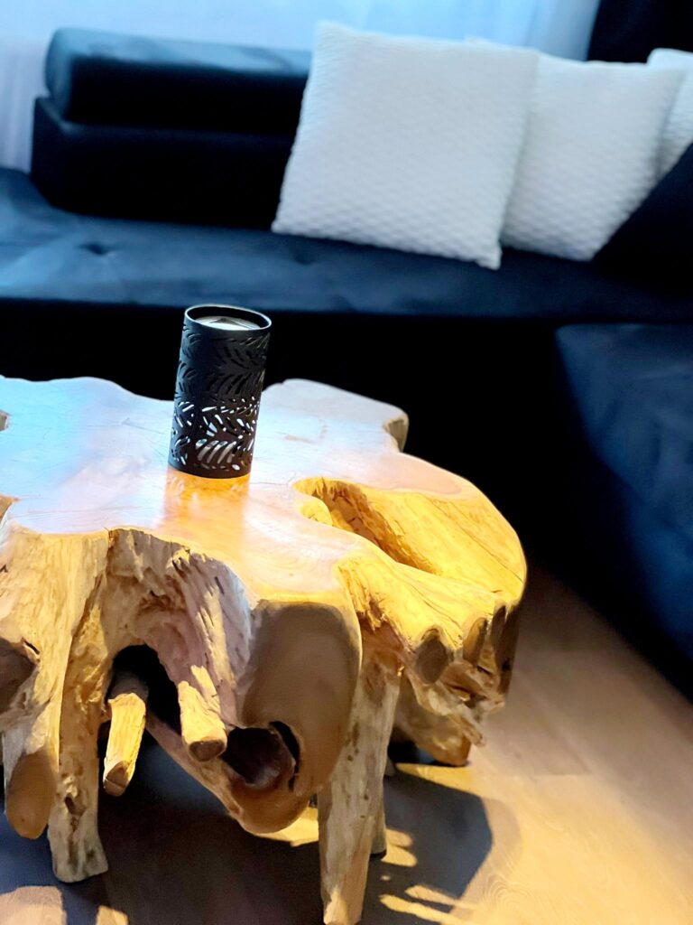 Gemütliches Wohnzimmer in der Ferienwohnung Trave Panorama